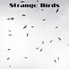 Earth Passion - Strange Birds - EP